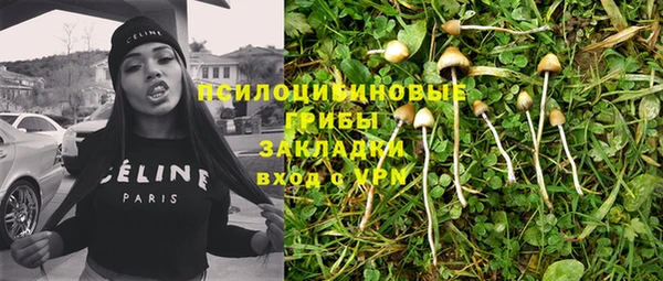гидра Аркадак