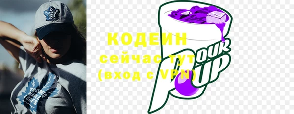 гидра Аркадак