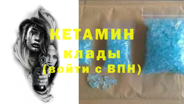 гидра Аркадак
