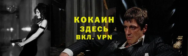 твердый Арсеньев