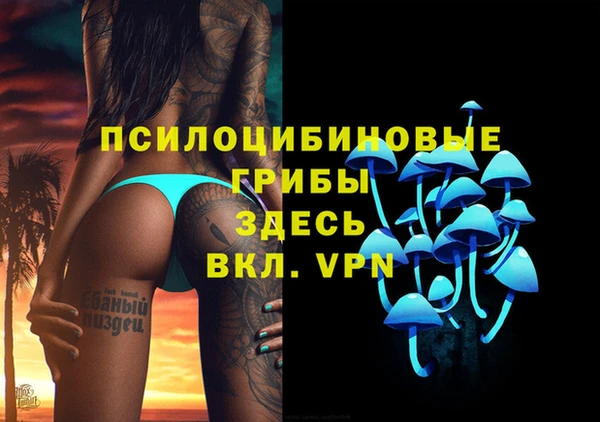 твердый Арсеньев